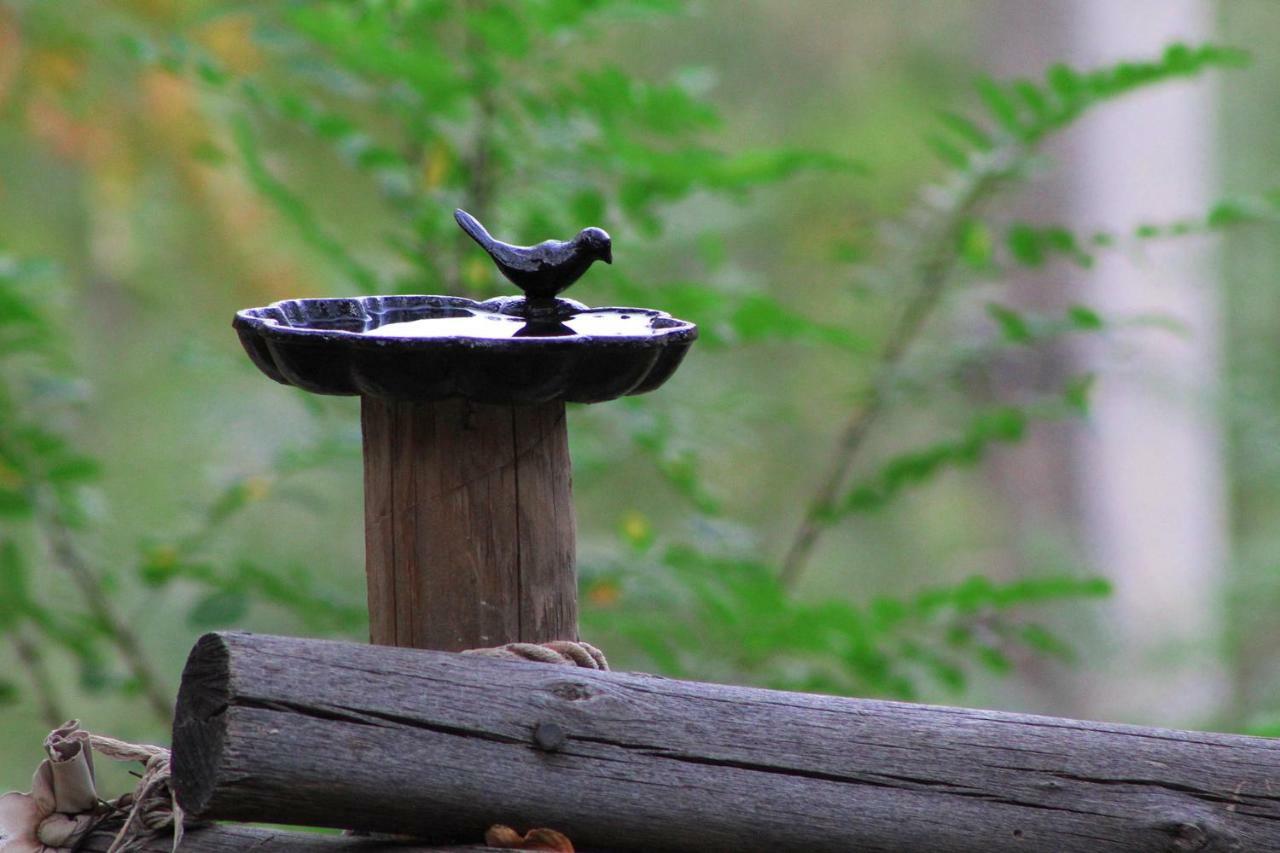 Casa Lagunillas Tinaja Caliente Willa San José de Maipo Zewnętrze zdjęcie